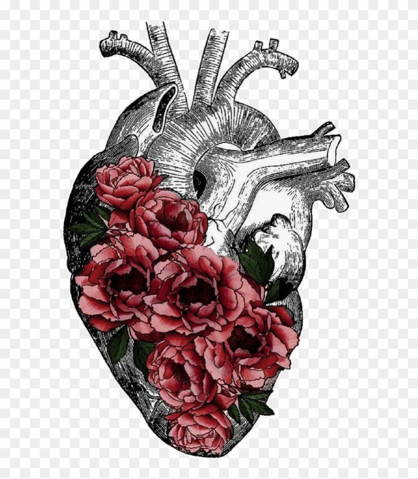Replace Veins With Tree Roots Anatomy Art, Heart Anatomy - Anatomical Heart With Flowers Png Clipart