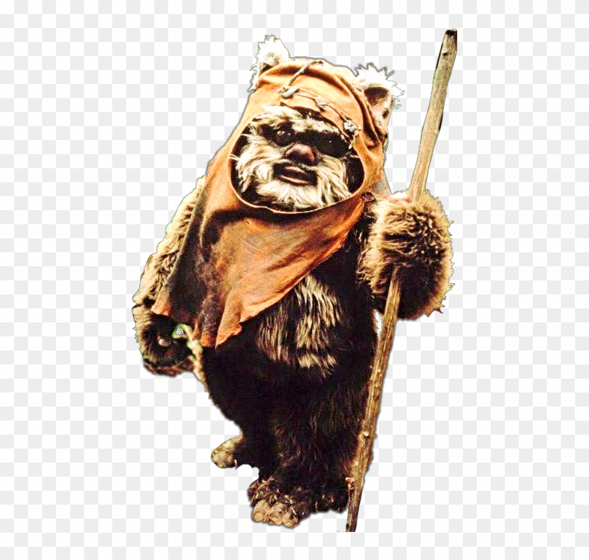 #furrycreatures #ewok - Star Wars 6 Animal Clipart #2622686