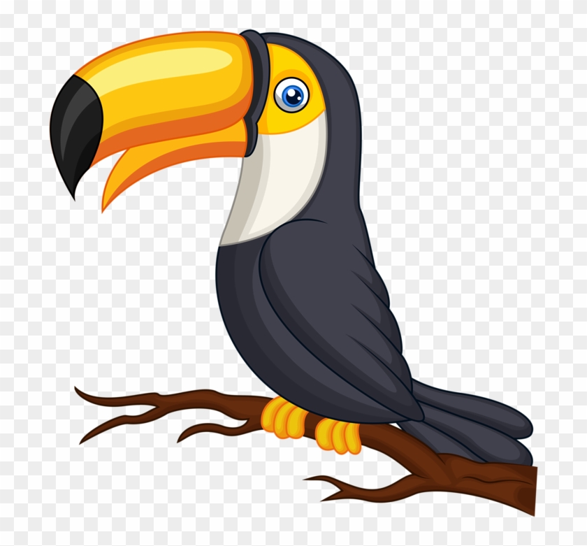 Toucan Clipart Cute Baby - รูป การ์ตูน นก เงือก - Png Download