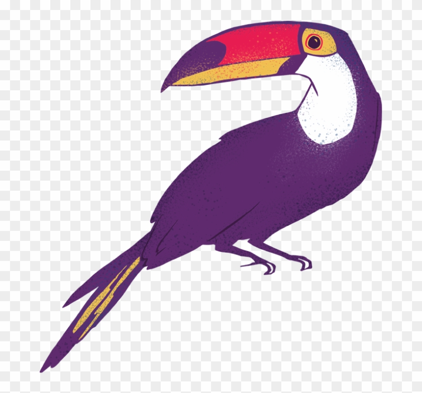 Clipart About Amaz Nia Font Amaznia Illustrations - Toucan - Png Download