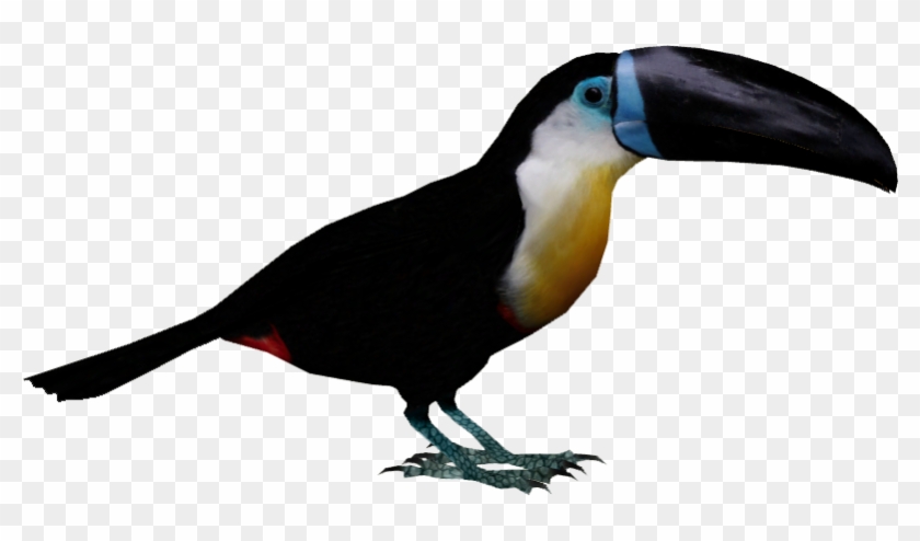 Tycoon Bird , Png Download - English Birds Name And Sound Clipart
