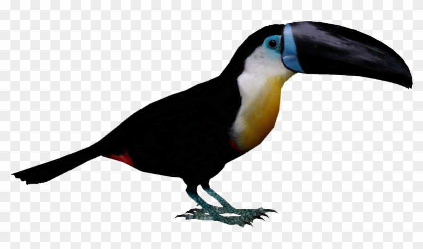 Tycoon Bird , Png Download - English Birds Name And Sound Clipart #2623122
