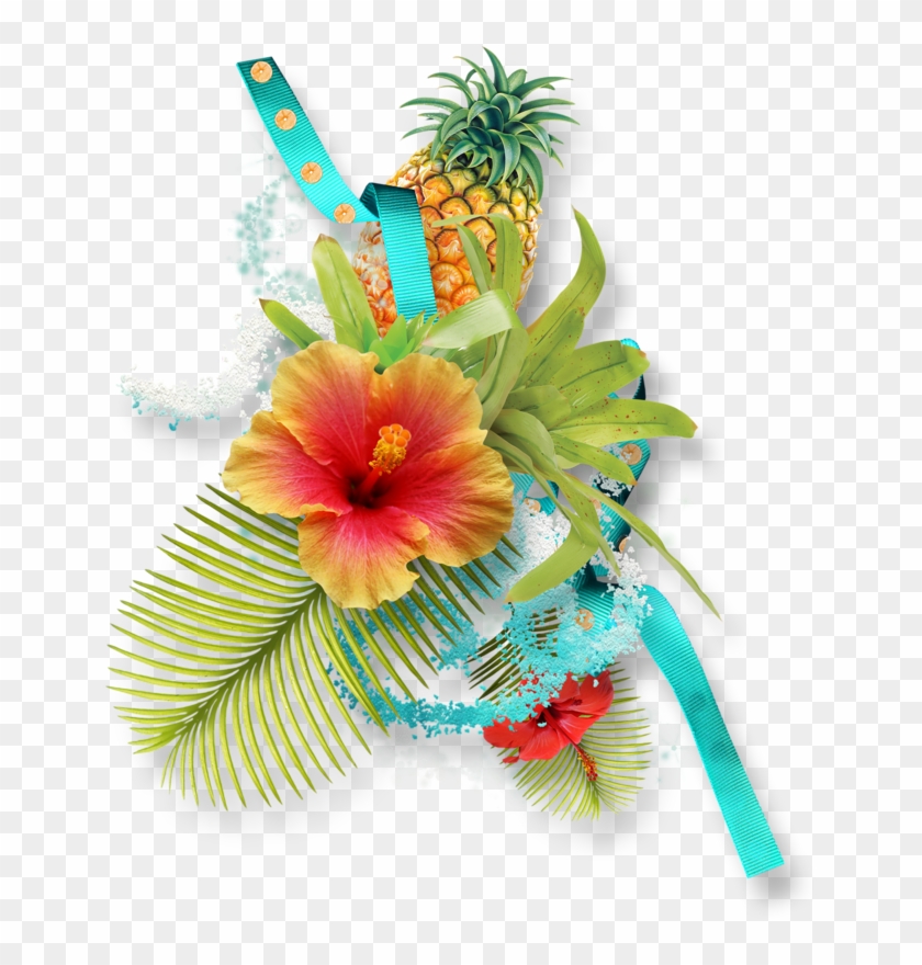 Hibiscus Clipart Download - Pineapple - Png Download