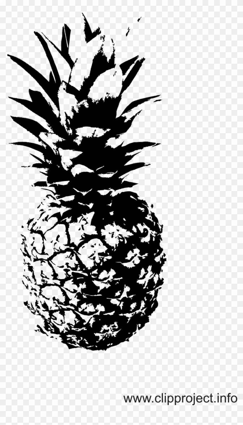 888 X 1510 5 0 - Ananas Bilder Schwarz Weiß Clipart