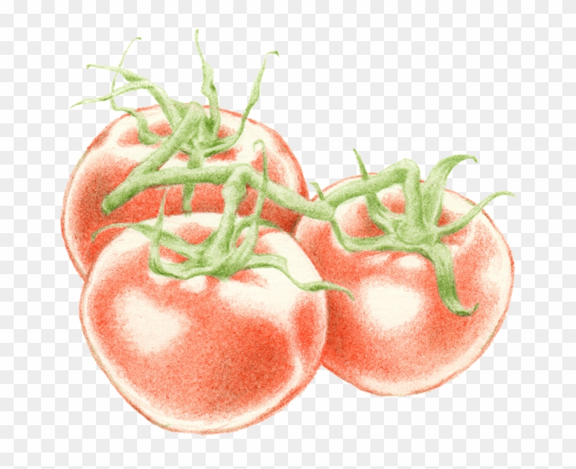 Food Emoji Png - Bush Tomato Clipart #2625703