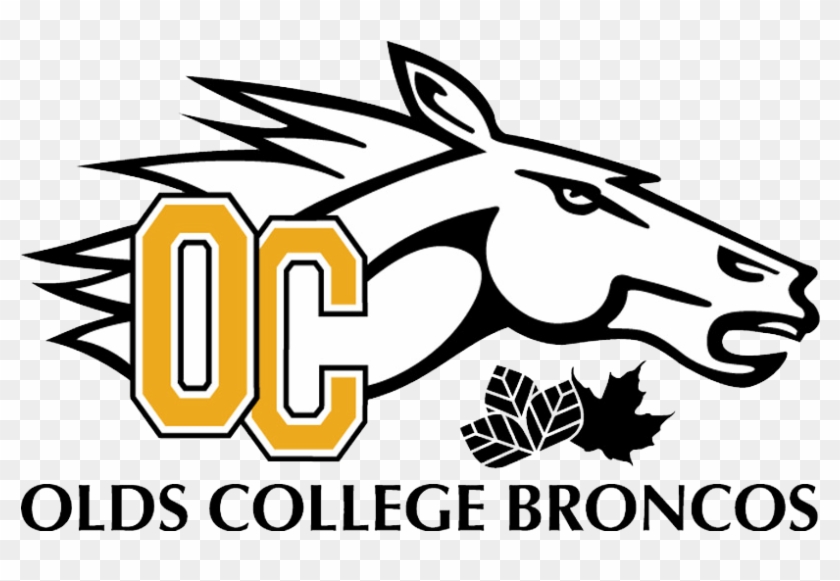 We're Hiring For Our Student Game Day Staff Positions - Olds College Rodeo Team Clipart