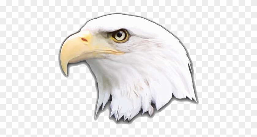 Eagle Png Logo - Bald Eagle Clipart #2628861