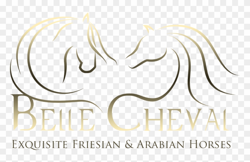 Belle Cheval Friesian And Arabian Horse Logo By Eq - Illustration Clipart #2628901