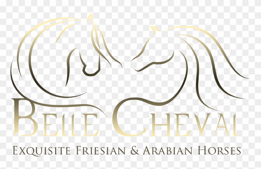 Belle Cheval Friesian And Arabian Horse Logo By Eq - Illustration Clipart