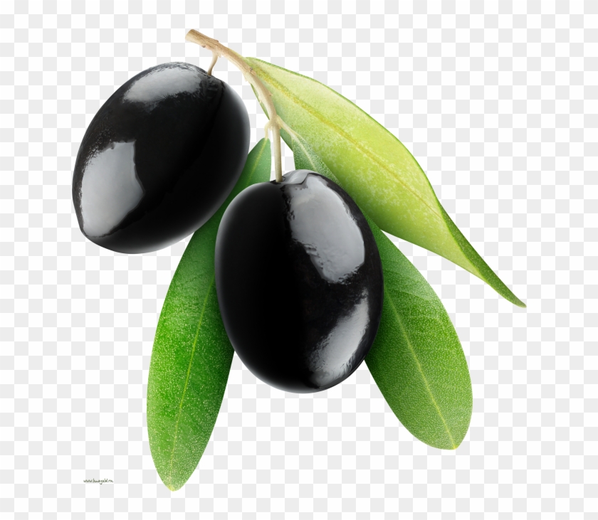 Black Olives - Black And White Jamun Fruit Clipart - Png Download