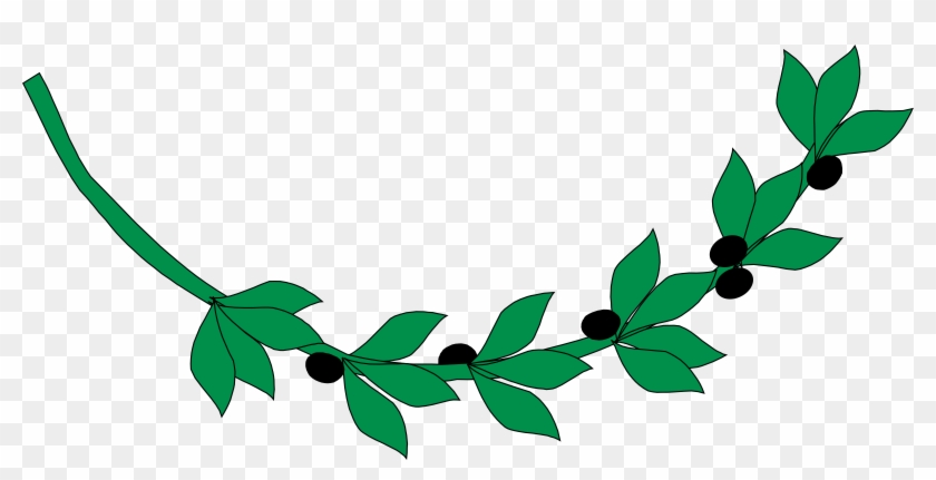 Olive Branch Ancient Greece Computer Icons Drawing - Olive Branch Clipart - Png Download
