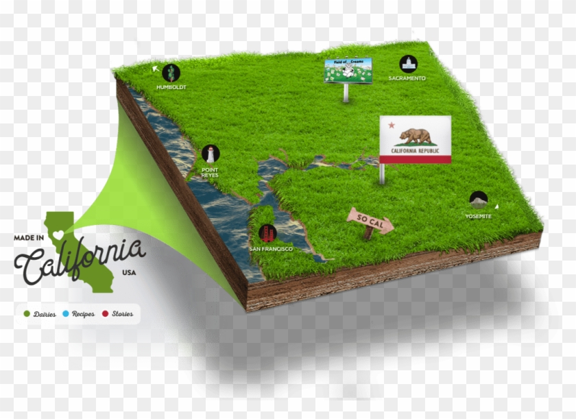 Clover - New California Republic Flag Clipart