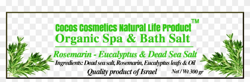 690145 - Calligraphy Clipart