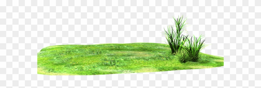 Light Patch Of Stock Grass - Land With Grass Png Clipart