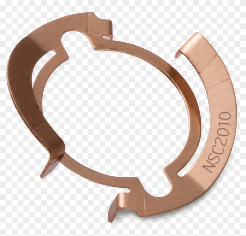 Custom Spring Packaging - Sea Turtle Clipart