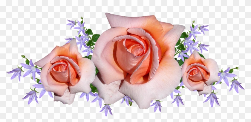 Flowers, Roses, Arrangement, Bouquet, Bloom - Garden Roses Clipart #2634456