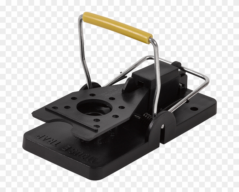 Wild Cats For Mice - Mousetrap Clipart #2634956