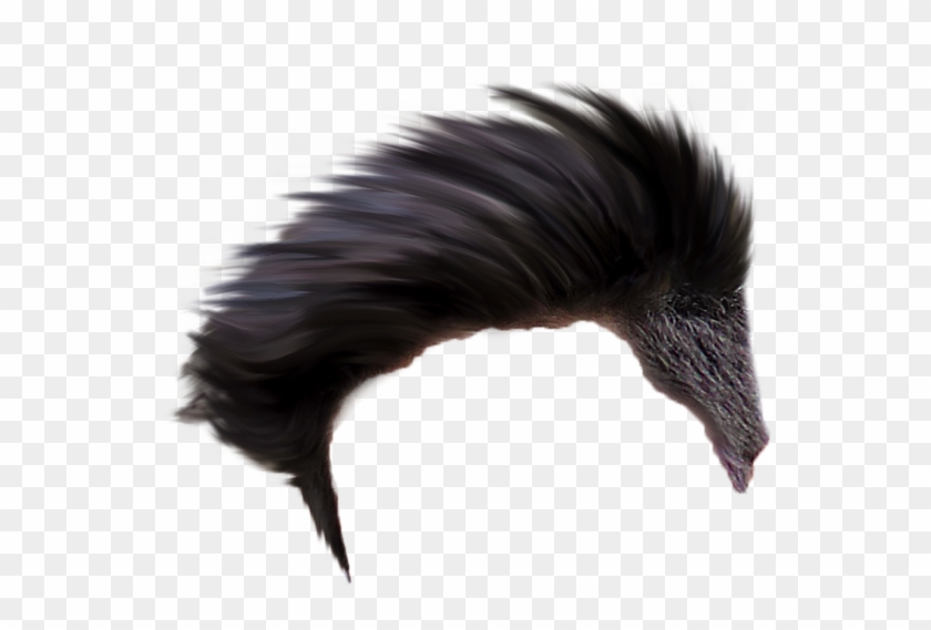 Neon King Photo Editing Backgrounds Download New Nsb - Black Hair Png Boy Clipart