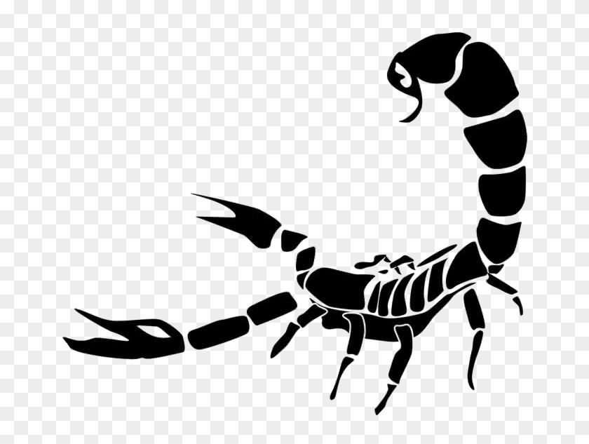 Scorpio Tattoo Png Photo - Transparent Background Scorpion Png Clipart #2636768