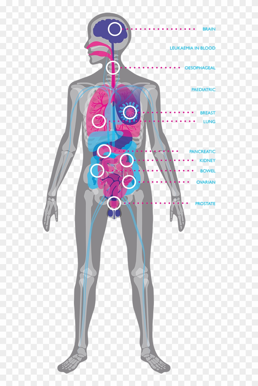 Infographics - Illustration Clipart #2636922