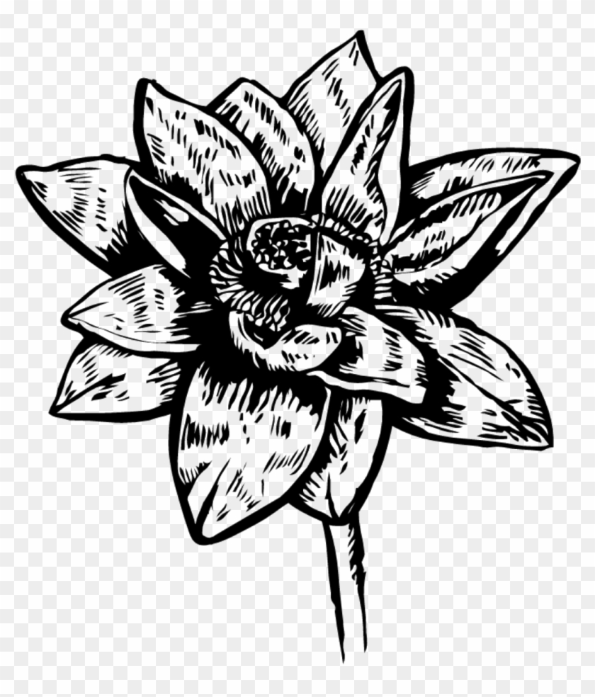 August 27, - Lily Clipart #2639698