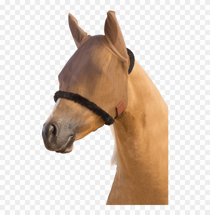 Previous - Next - Stallion Clipart #2639954