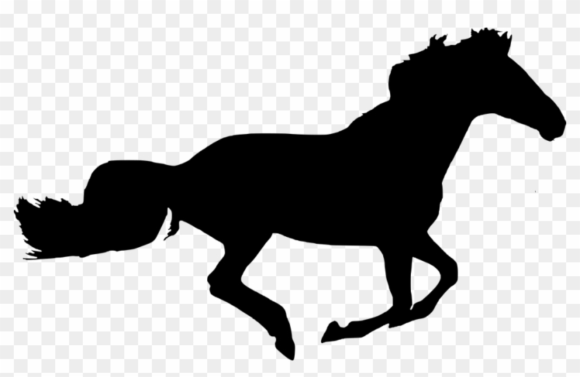 Silhouette, Horse, Isolated, Black, Run, Beautiful - Sphynx Cat Clip Art - Png Download