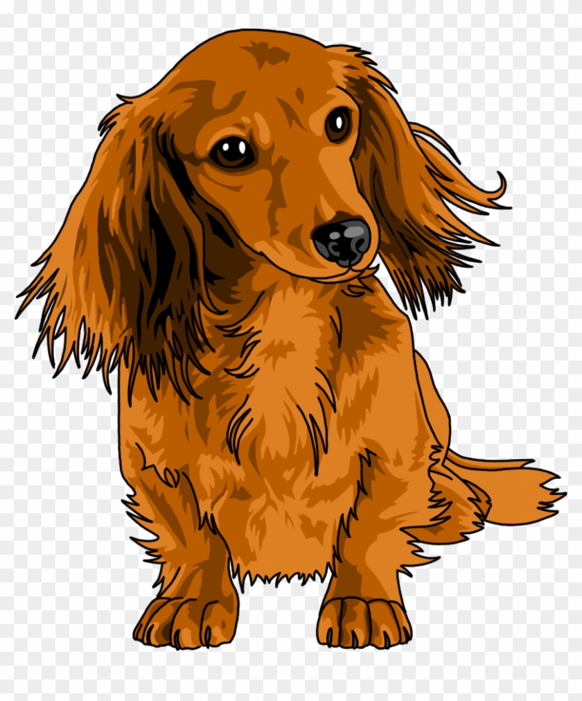 For My Pup And Doxie Pics - Long Haired Dachshund Drawing Clipart