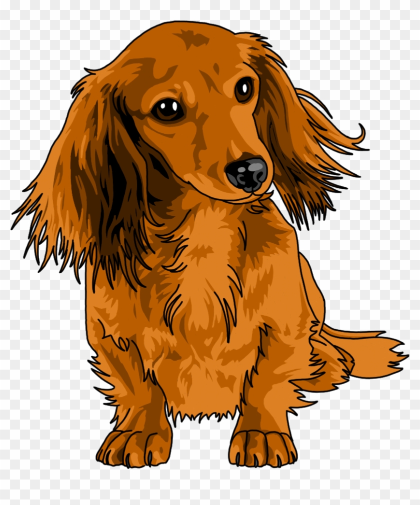 For My Pup And Doxie Pics - Long Haired Dachshund Drawing Clipart #2640450