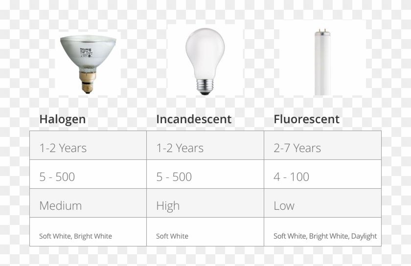 Types Of Bulbs Chart - Fluorescent Lamp Clipart #2642040