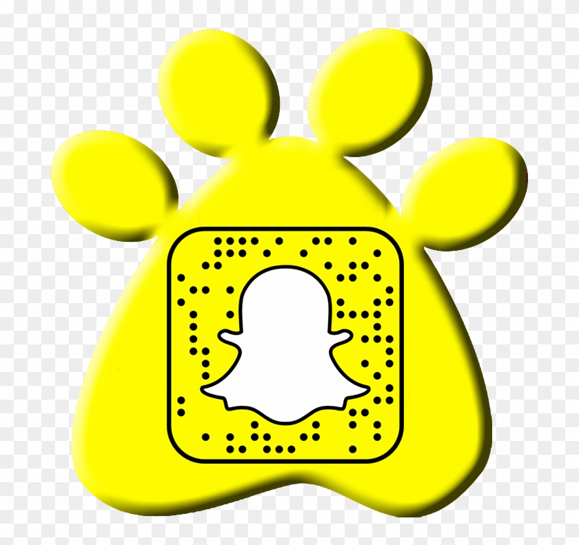 In January 2018 Claws & Paws Veterinary Hospital® Launched - Lion King Snapchat Lens Clipart #2642381