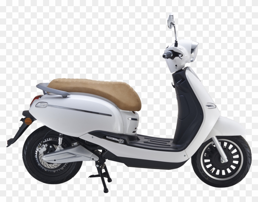 Avera Retrosa Clipart #2642703