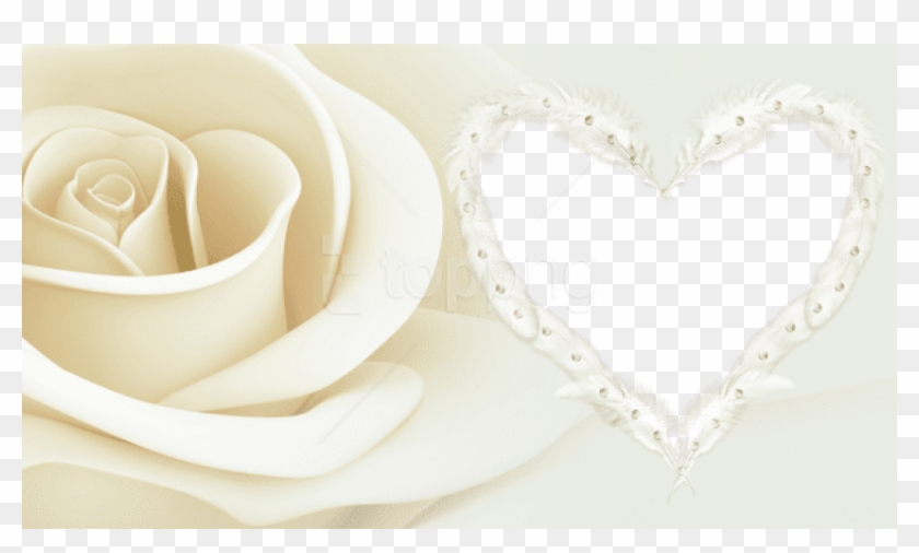 Free Png Transparent Frame With Rose Png Images Transparent - Garden Roses Clipart