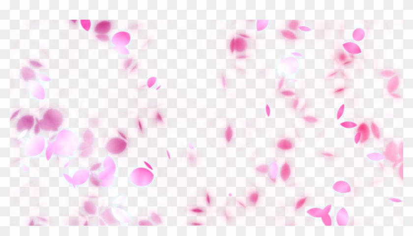©romina Soledad Bada - Pink Petals Falling Png Clipart