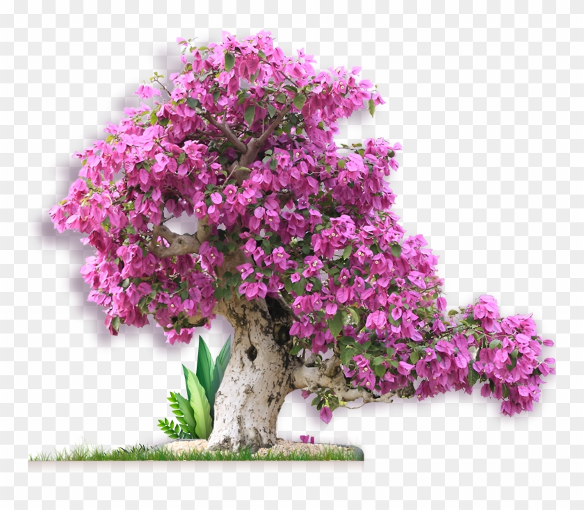Information Form Just Fill Out The Request Form Before - Bougainvillea Clipart