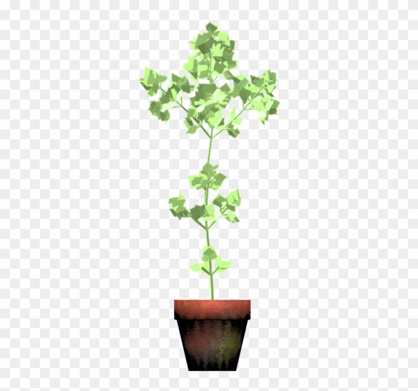 A Plant Growing - Flowerpot Clipart