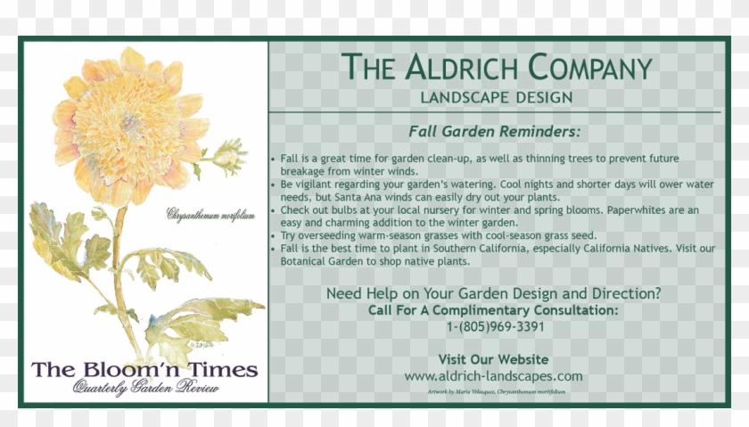 0 Comments - Sunflower Clipart #2644758