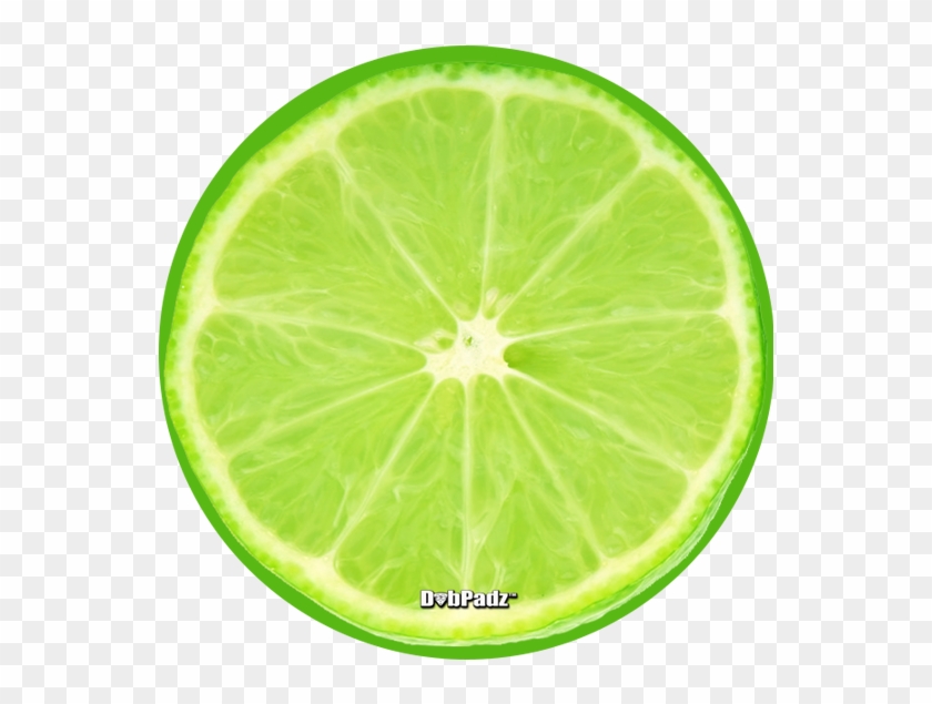 Lime Slice Dabpadz - Key Lime Clipart