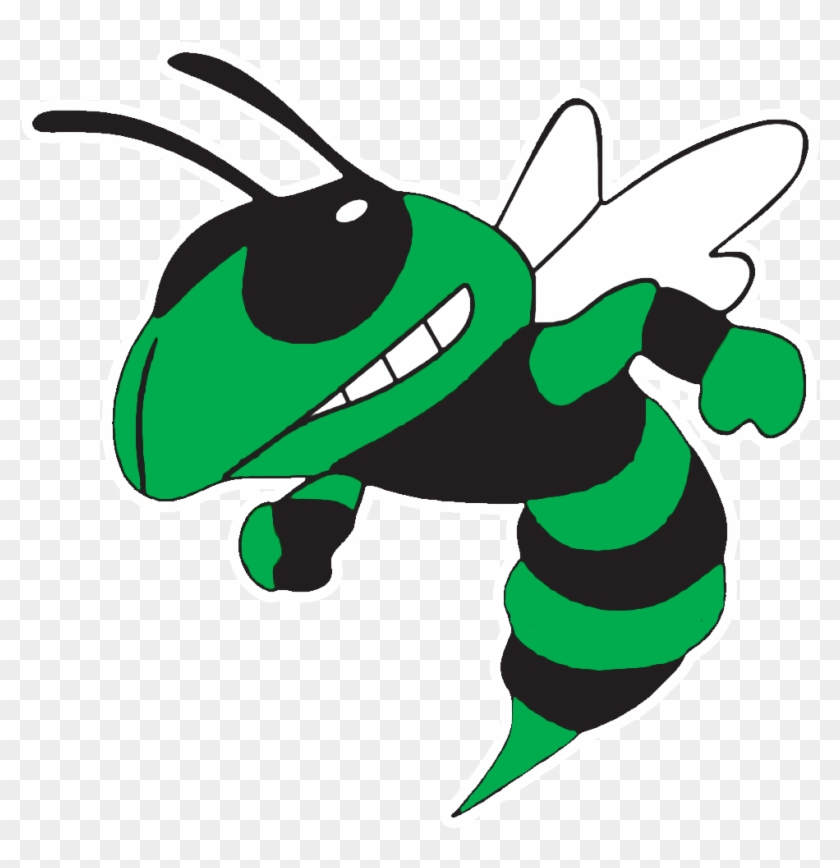 Graphic Hornet Clipart Green - Bartow Yellow Jackets - Png Download