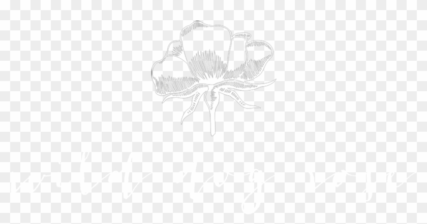 Catnip Drawing Skullcap Herb - Sketch Clipart #2645549