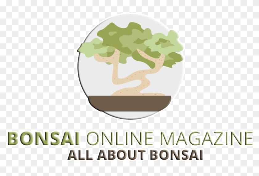 Bonsai Clipart Ancient Tree - Tree - Png Download #2647537