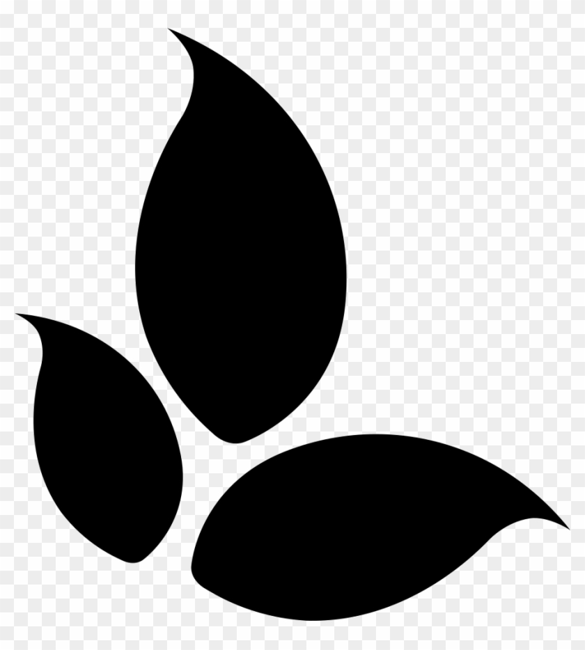 Png File Svg - Three Leaves Black And White Clipart #2647939