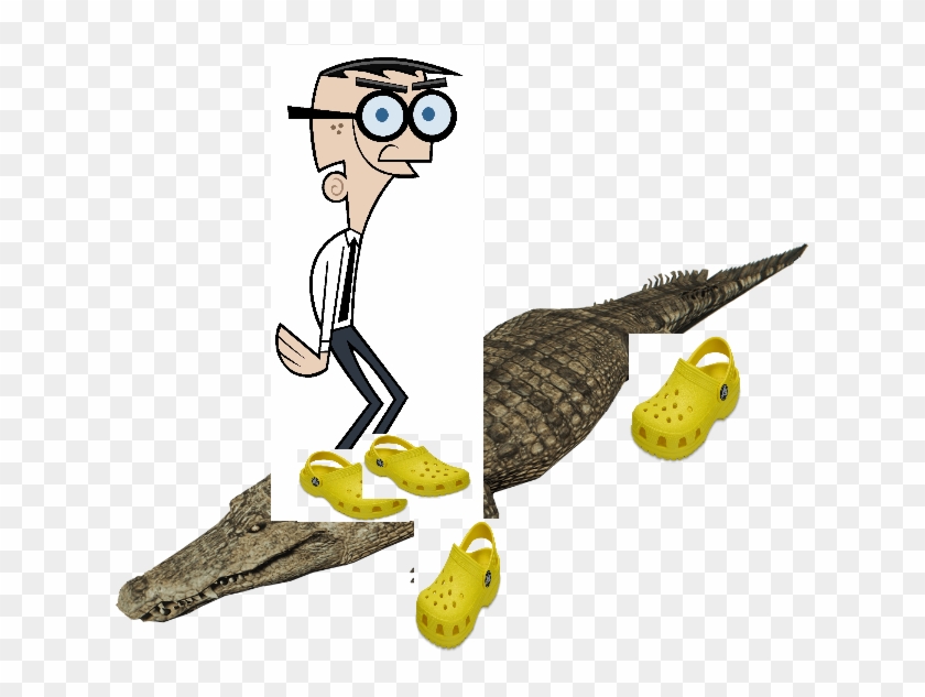 Crocker Wearing Crocs On A Crocodile Wearing Crocs - Crocodile Wearing Crocs Clipart #2648251