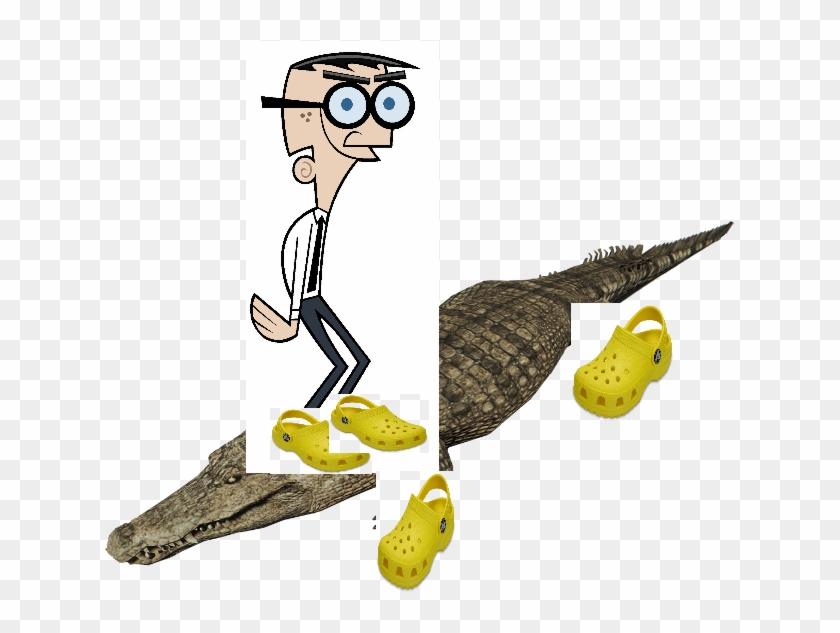 Crocker Wearing Crocs On A Crocodile Wearing Crocs - Crocodile Wearing Crocs Clipart