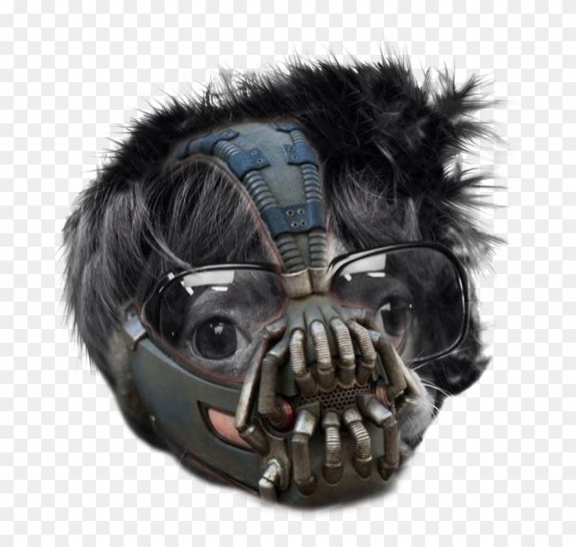 [ Img] - Bane Mask Dark Knight Rises Clipart