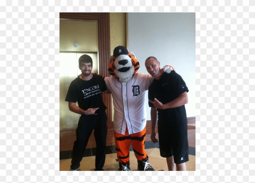 Picture With Paws 11-800x523 - Detroit Tigers Clipart #2648564