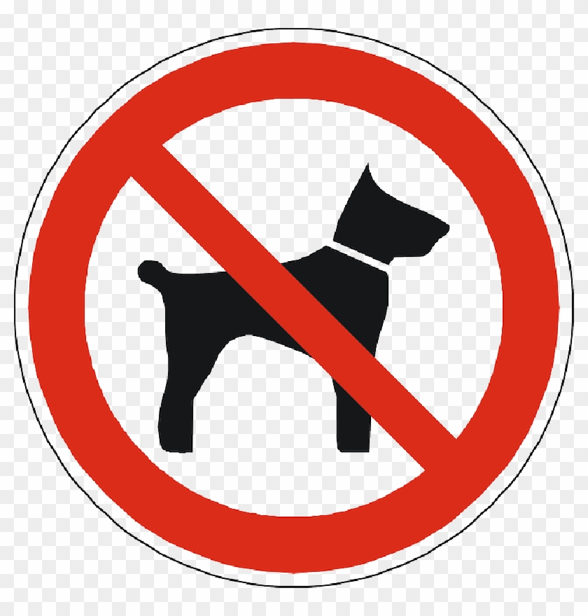 Dogs Prohibited Forbidden Allowed Sign Symbol - Dogs Not Allowed Sign Clipart #2648867