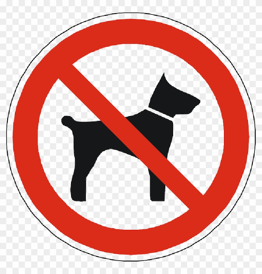 Dogs Prohibited Forbidden Allowed Sign Symbol - Dogs Not Allowed Sign Clipart