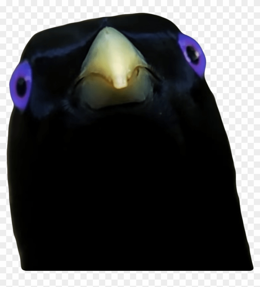 Lemme Smash Ron - U Want Some Fuk Clipart #2649061