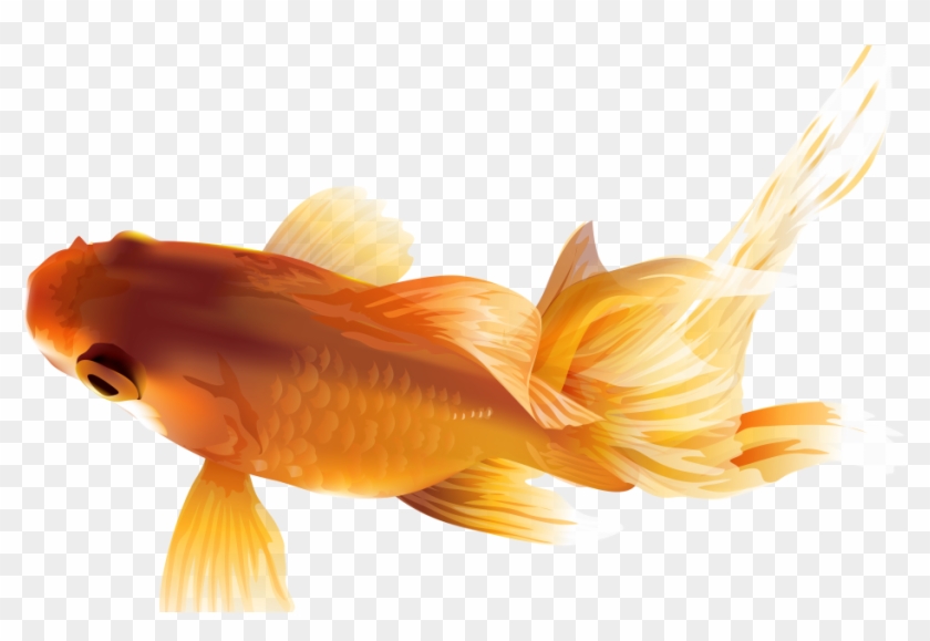 Goldfish Clipart